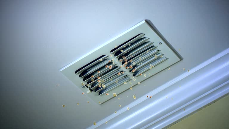 Best Air Duct Cleaning Near Me  in Hubbard, OR